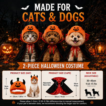 Halloween Pet Costume